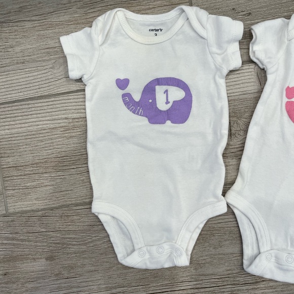 Baby elephant milestone onesies hand painted months 1-9 - Picture 2 of 13